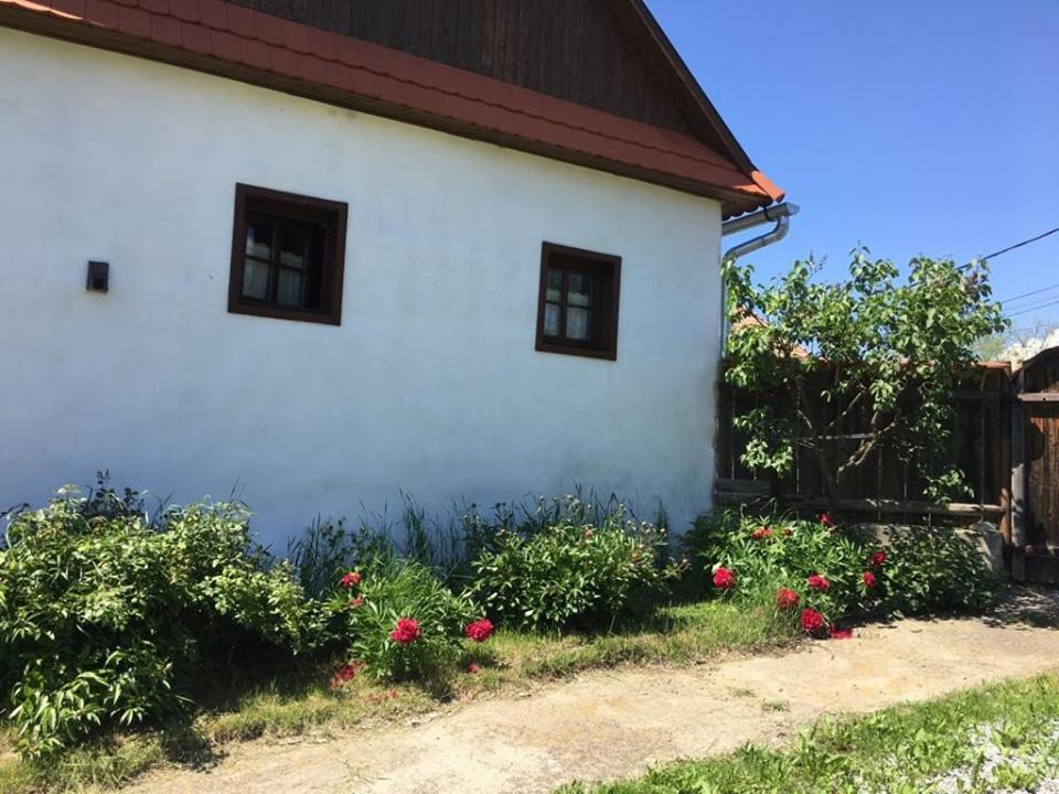 Miklos Lak Ocna de Sus Exteriör bild